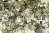 Spectacular Cubic Pyrite Crystals with Quartz - Peru #325627-4